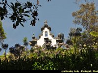 Portugal - Madere - Funchal - 014